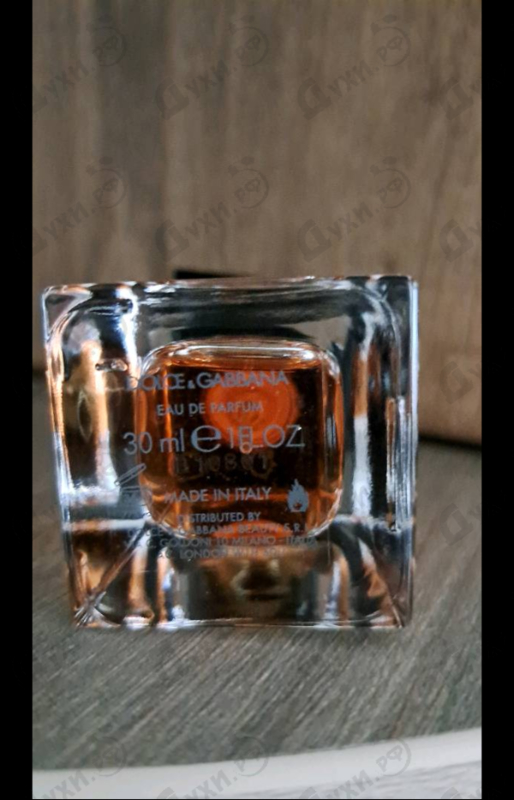 Купить The Only One от Dolce & Gabbana