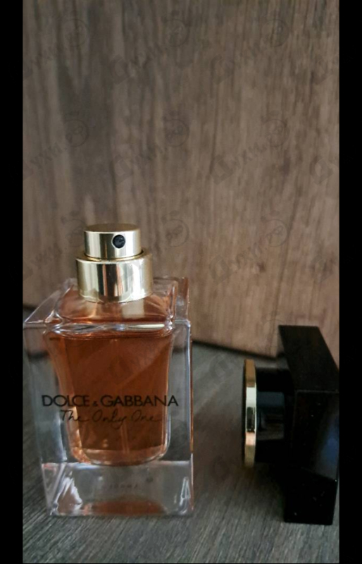 Купить The Only One от Dolce & Gabbana