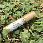 Парфюм Dolce & Gabbana The Only One