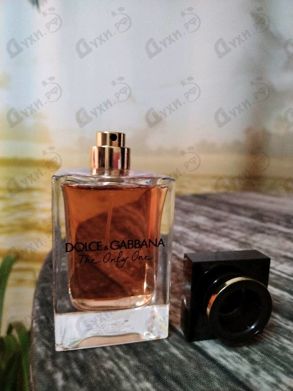 Купить The Only One от Dolce & Gabbana