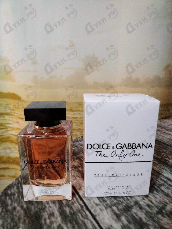 Купить The Only One от Dolce & Gabbana