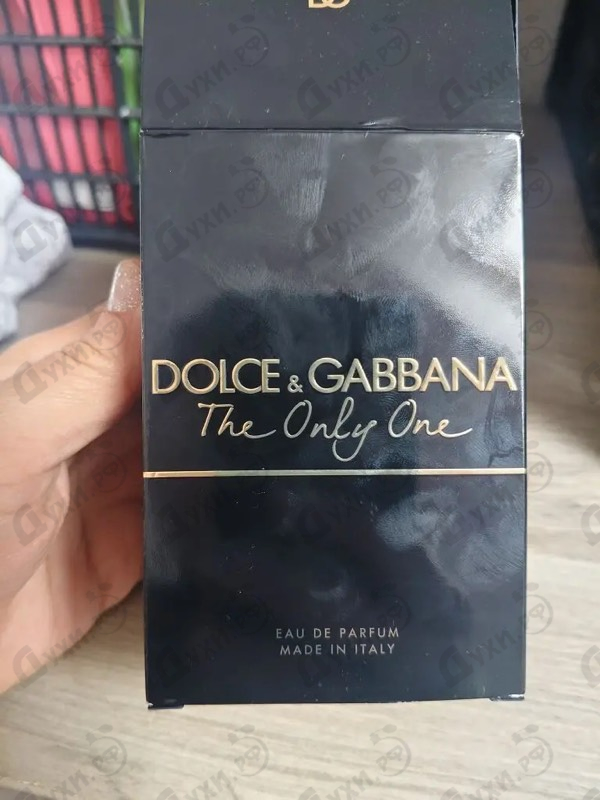 Купить The Only One от Dolce & Gabbana