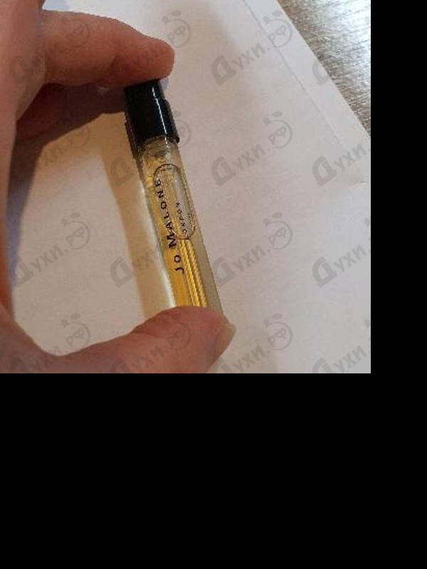 Отзывы Jo Malone Honeysuckle&Davana
