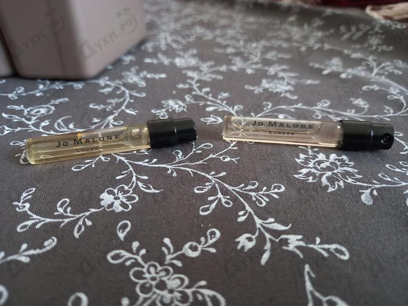 Купить Honeysuckle&Davana от Jo Malone