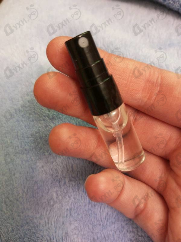 Купить Calvin Klein Calvin Klein Women