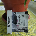 Отзыв Zadig & Voltaire Girls Can Do Anything