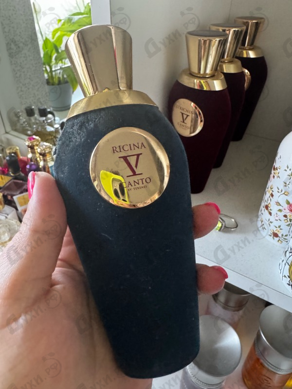 Отзывы V Canto Ricina