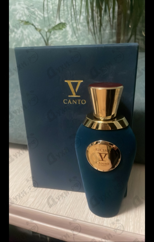 Отзыв V Canto Ricina