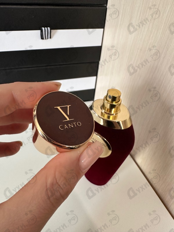 Отзывы V Canto Stramonio Купить Stramonio от V Canto