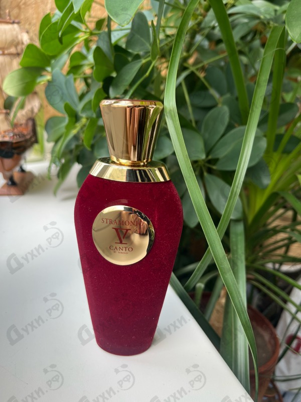Парфюмерия V Canto Stramonio