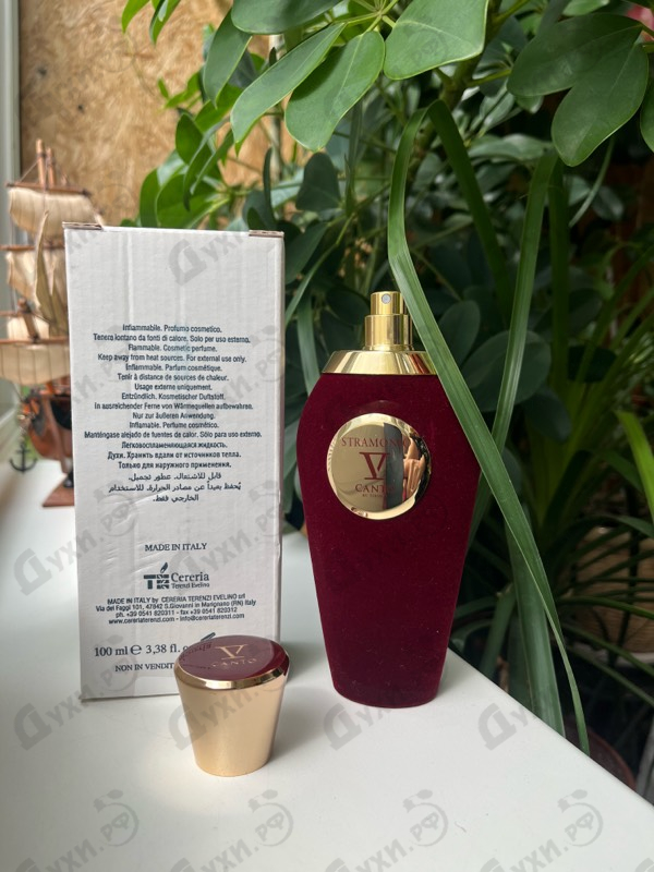 Купить V Canto Stramonio