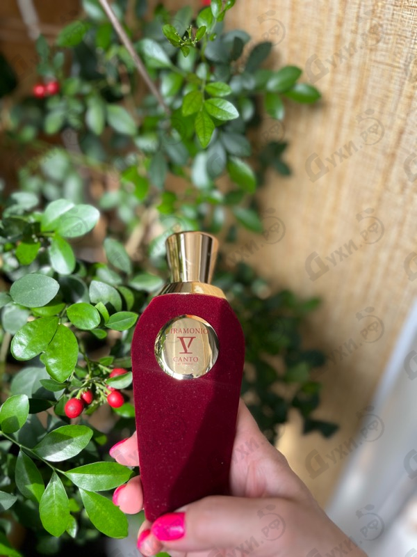 Парфюмерия Stramonio от V Canto