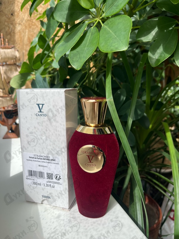 Отзыв V Canto Stramonio