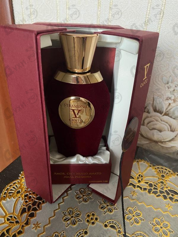 Отзывы V Canto Stramonio Парфюмерия Stramonio от V Canto