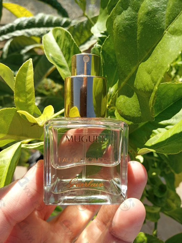 Духи Muguet Millesime от Guerlain