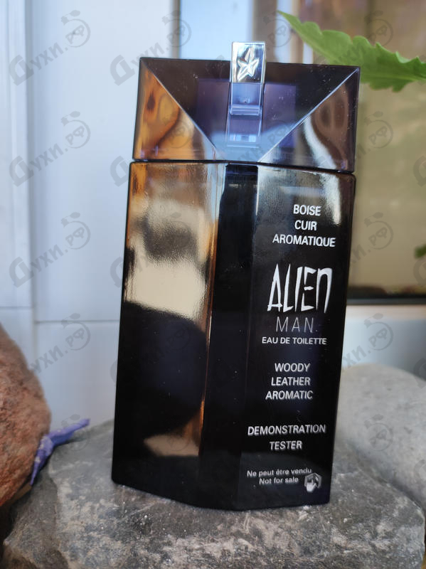 Купить Alien от Thierry Mugler