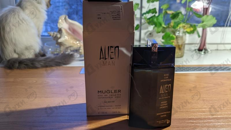 Парфюмерия Alien от Thierry Mugler