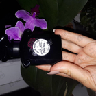 Отзыв Guerlain Black Perfecto By La Petite Robe Noire Eau De Toilette Florale