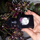 Отзыв Guerlain Black Perfecto By La Petite Robe Noire Eau De Toilette Florale