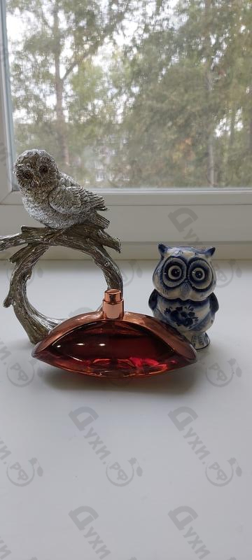 Парфюмерия Euphoria Amber Gold от Calvin Klein Парфюмерия Calvin Klein Euphoria Amber Gold