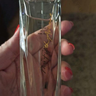 Отзыв Elizabeth Arden My Fifth Avenue