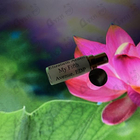 Отзыв Elizabeth Arden My Fifth Avenue