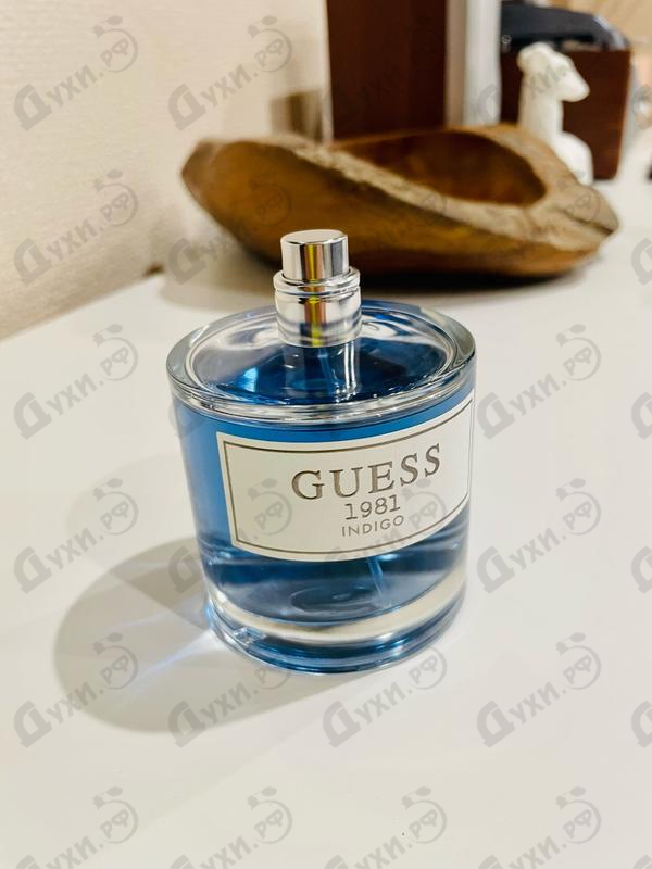 Купить Guess 1981 Indigo от Guess