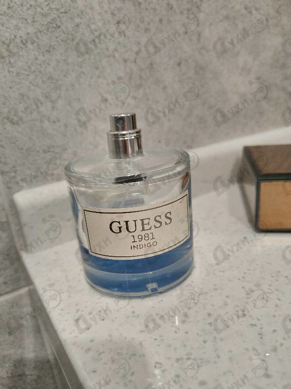 Купить Guess 1981 Indigo от Guess