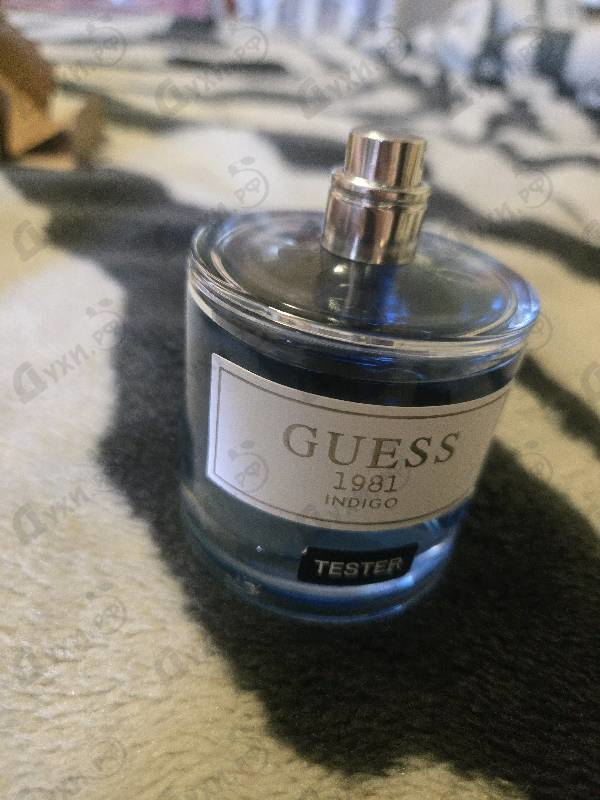 Отзывы Guess Guess 1981 Indigo