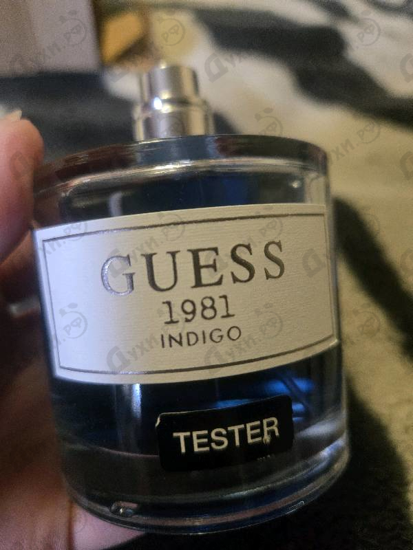 Парфюмерия Guess 1981 Indigo от Guess