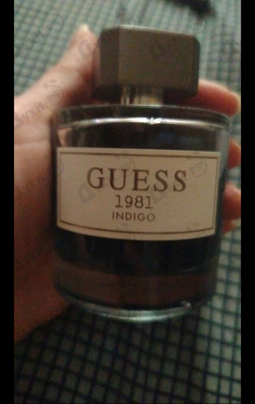 Купить Guess 1981 Indigo от Guess
