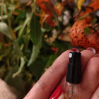 Парфюм Tom Ford Lost Cherry