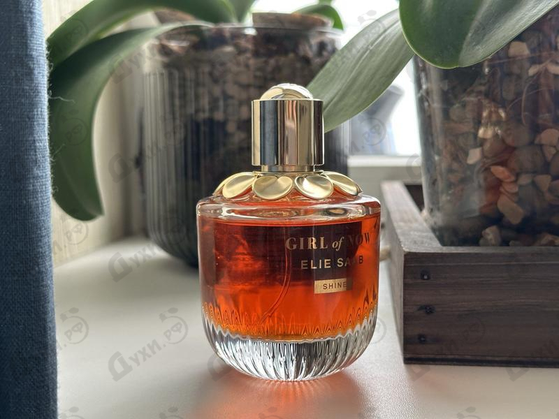 Отзывы Elie Saab Girl Of Now Shine