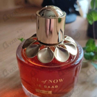 Отзывы Elie Saab Girl Of Now Shine
