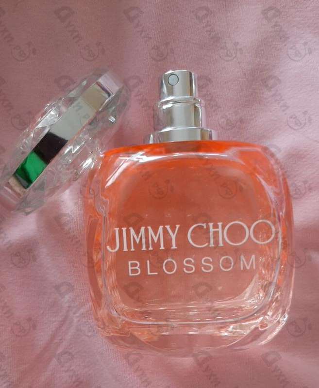 Jimmy choo blossom special. Jimmy Choo Blossom тестер. Джимми Чу блоссом. Jimmy Choo Blossom Special Edition отзывы.