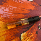 Отзыв Memo Tiger's Nest