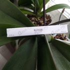 Отзывы Yves Saint Laurent Blouse