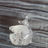 Отзывы Lolita Lempicka Lolitaland