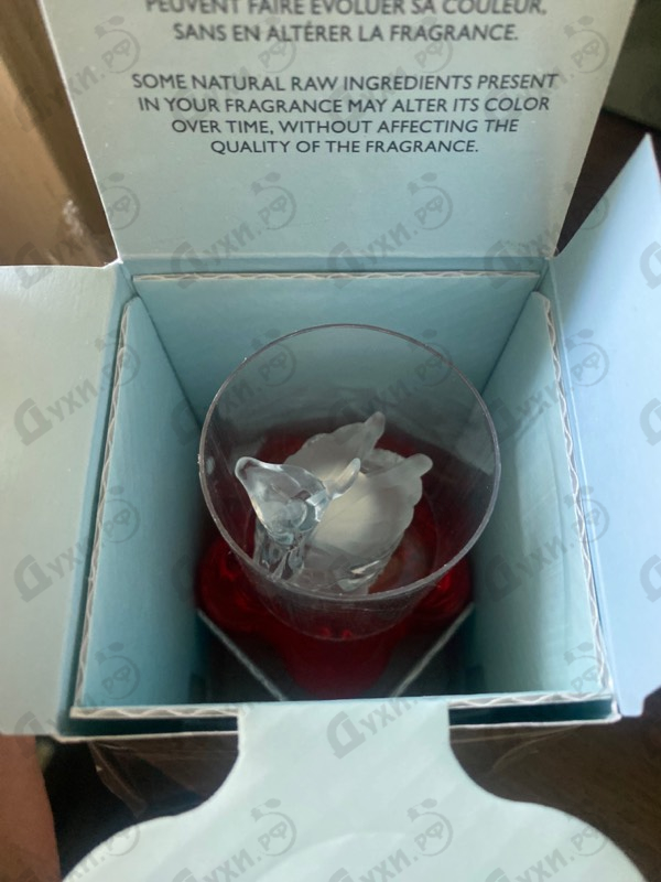 Купить Lolitaland от Lolita Lempicka