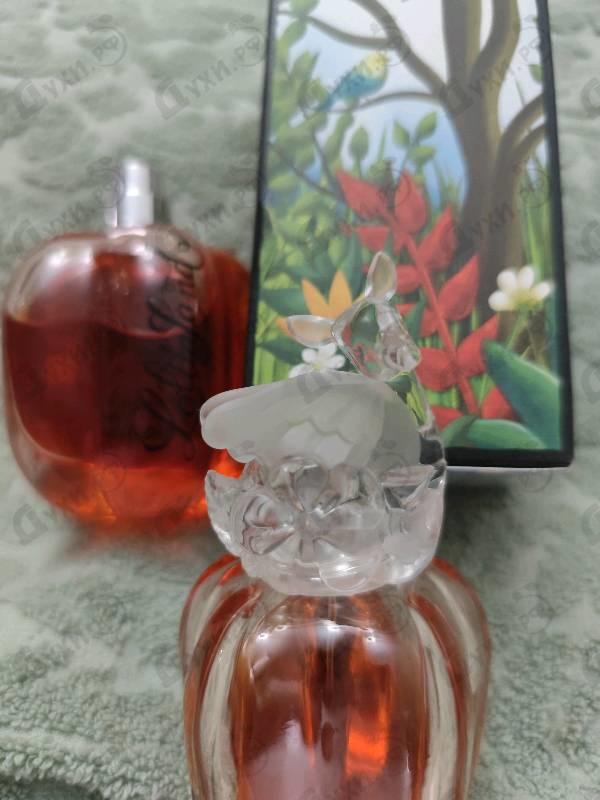 Купить Lolitaland от Lolita Lempicka