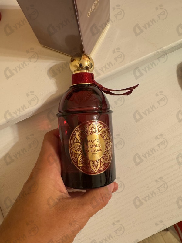 Отзывы Guerlain Musc Noble