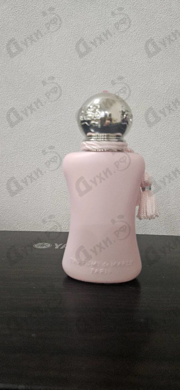 Купить Delina Exclusif от Parfums de Marly