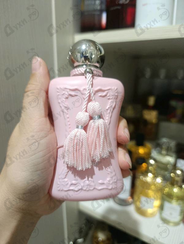 Купить Delina Exclusif от Parfums de Marly