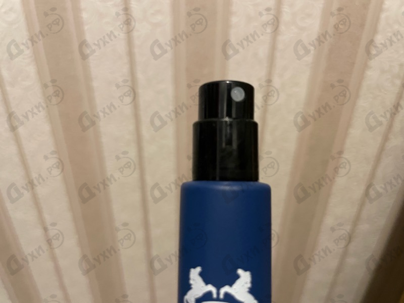 Купить Percival от Parfums de Marly