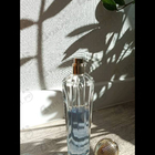 Отзыв Shakira Dream