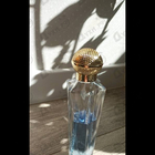 Парфюм Shakira Dream