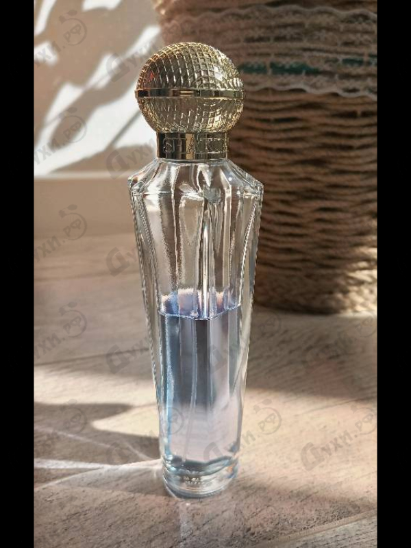 Купить Shakira Dream