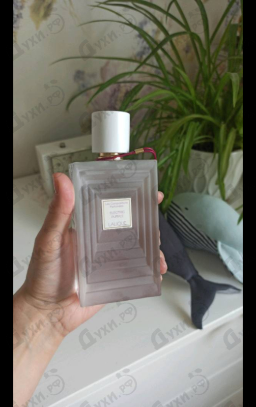 Купить Lalique Electric Purple