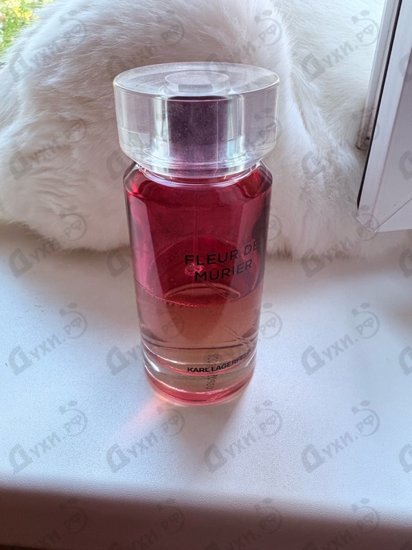 Парфюмерия Lagerfeld Fleur De Murier