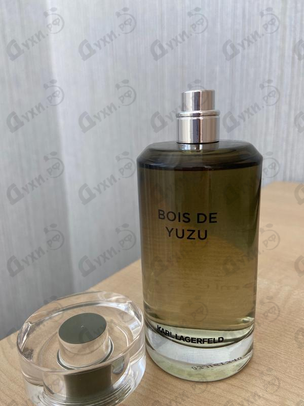 Купить Bois De Yuzu от Lagerfeld